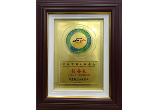深圳市中小企业公共服务副会长